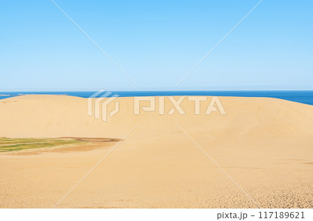 鳥取県鳥取市　鳥取の代表的な観光地　快晴の鳥取砂丘（無人） 117189621