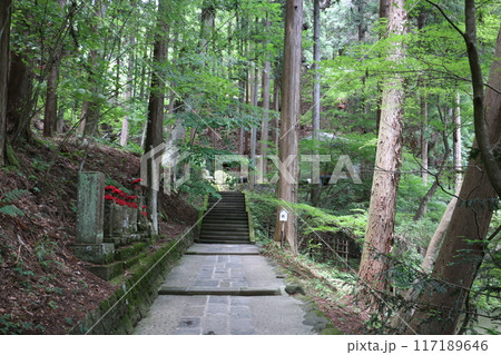 安楽寺八角三重塔へ続く参道 117189646