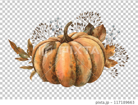 Orange pumpkin with autumn dry leaves, berries, branches. Handmade watercolor composition in autumn style. For decor, cards, autumn posters, Thanksgiving, Halloween, packaging, fabric design Orange pumpkin with autumn dry leaves, berries, branches. Handmade watercolor composition in autumn style. For decor, cards, autumn posters, Thanksgiving, Halloween, packaging, fabric design 117189663