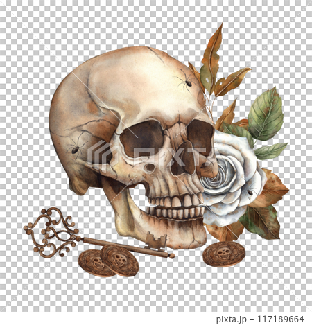 Skull with white roses, green and autumn leaves, copper key and coins. Watercolor illustration hand drawn in gothic style for Halloween design and decoration, cards, invitations, posters, packaging 117189664
