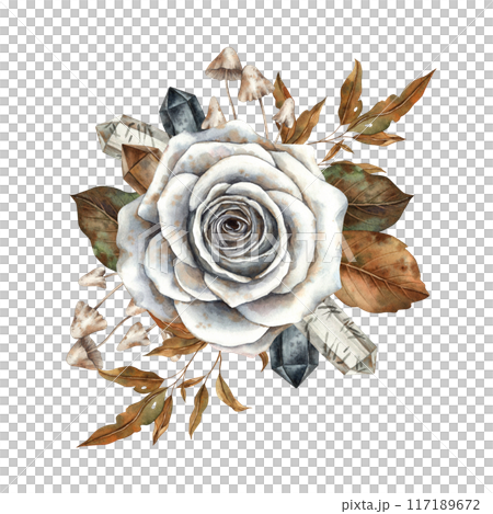 Vintage white rose, dry autumn leaves, mushrooms and shiny crystals. Hand-painted watercolor illustration on isolated background. Illustration is suitable for Halloween, cards, packaging, stickers 117189672