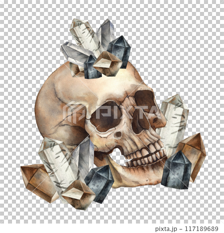 Realistic watercolor skull with different crystals. Watercolor illustration hand drawn in gothic and vintage style. Halloween decoration, Mexican Day of the Dead symbol, gothic style design, for cards 117189689