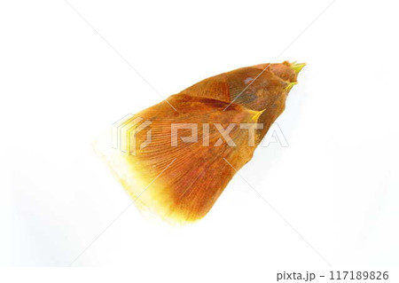 タケノコ　たけのこ　竹の子　筍 117189826