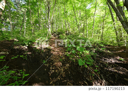 榛名山登山、群馬県 117190213