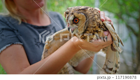A woman holds a large owl on her arm, recovering from an injury at a wildlife sanctuary. A woman holds a large owl on her arm, recovering from an injury at a wildlife sanctuary. 117190878