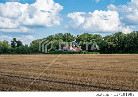 Golden harvested wheat fields at the German countryside around Herzlake, Lower Saxony, Germany 117191998