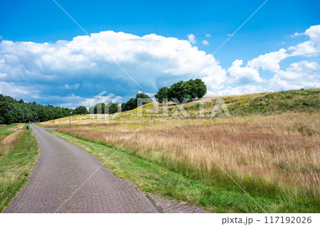 Asphalt country road through the meadows around Geeste-Dalum, Lower Saxony, Germany 117192026