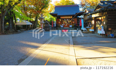 千葉県浦安市堀江の清瀧神社の風景 117192216
