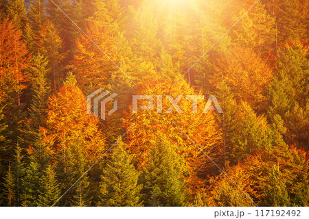 Autumn mountain landscape 117192492