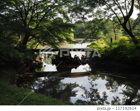 六義園の大泉水にかかる渡月橋 117192614