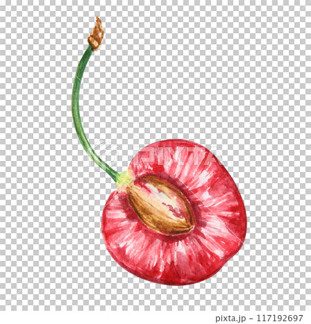Half a red cherry. Juicy hand drawn watercolor illustration. Delicious food art, fresh botanical realistic painting. Summer berry clipart for restaurant menu, packaging of farm goods, vegan products Half a red cherry. Juicy hand drawn watercolor illustration. Delicious food art, fresh botanical realistic painting. Summer berry clipart for restaurant menu, packaging of farm goods, vegan products 117192697