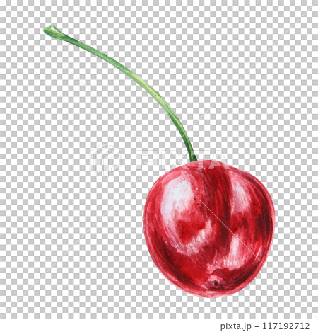 Red cherry. Juicy hand drawn watercolor illustration. Delicious food art, fresh botanical realistic painting. Summer berry clipart for restaurant menu, prints, packaging of farm goods, vegan products 117192712