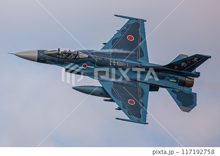 大空を飛ぶ戦闘機 117192758