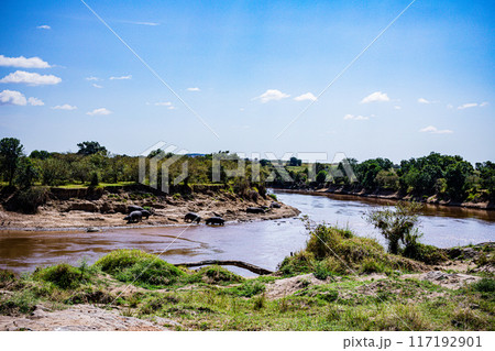 tropical beach with blue sky and water tropical beach with blue sky and water 117192901