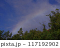 虹 117192902