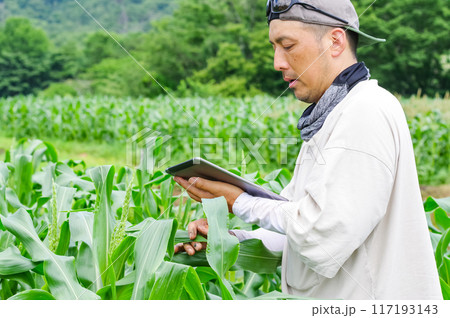 タブレット端末で農作物を管理する男性 タブレット端末で農作物を管理する男性 117193143
