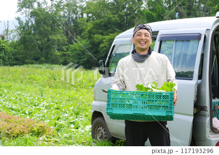 農作物を収穫する農家の男性 117193296