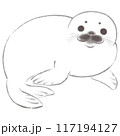 和風なアザラシの赤ちゃん 117194127