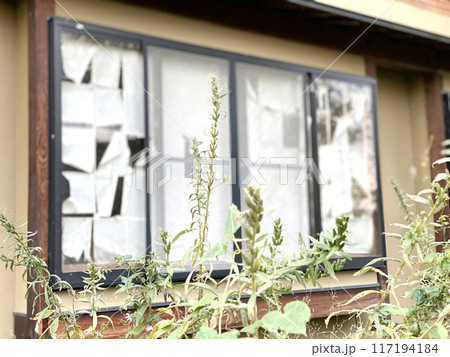 窓の破れた障子と雑草 117194184