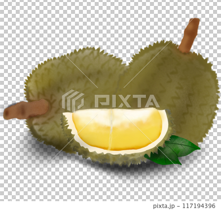 durian fruit on white background 117194396