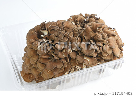 きのこ(黒舞茸) きのこ(黒舞茸) 117194402