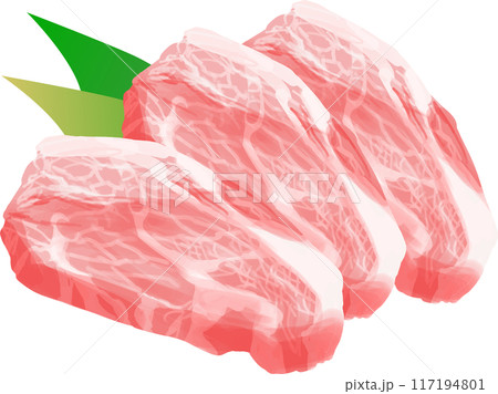 国産豚肉 117194801