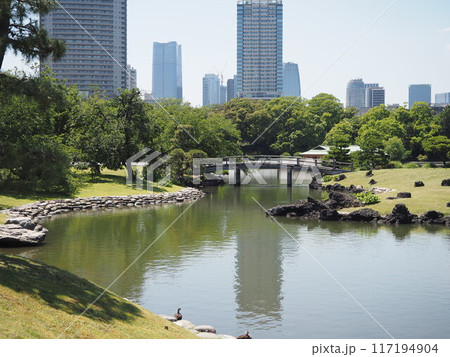 浜離宮恩賜庭園の池に架かる中の橋 117194904