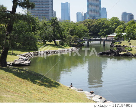 浜離宮恩賜庭園の池に架かる中の橋 117194908