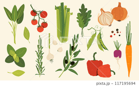 Italian vegetables. Cartoon food ingredients, hand drawn salad mix, vegan vegetarian farm kitchen. Vector isolated set. Onions, peas and bell peppers, tomatoes and carrots, garlic and beets, olives Italian vegetables. Cartoon food ingredients, hand drawn salad mix, vegan vegetarian farm kitchen. Vector isolated set. Onions, peas and bell peppers, tomatoes and carrots, garlic and beets, olives 117195694
