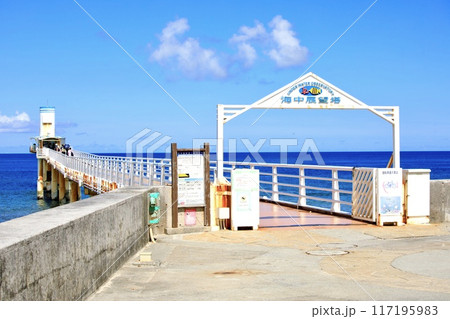 名護市、ブセナ海中公園の海中展望塔 名護市、ブセナ海中公園の海中展望塔 117195983