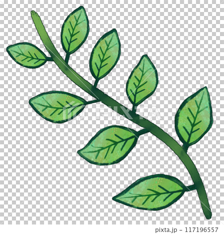 Simple stem and leaf illustration Simple stem and leaf illustration 117196557