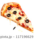 Delicious cheese pizza isolated on a transparent background 117196629