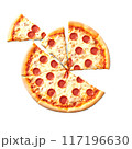 Delicious cheese pizza isolated on a transparent background 117196630