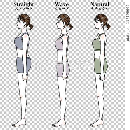 Skeleton diagnosis Straight Wave Natural Image illustration With text Skeleton diagnosis Straight Wave Natural Image illustration With text 117196666