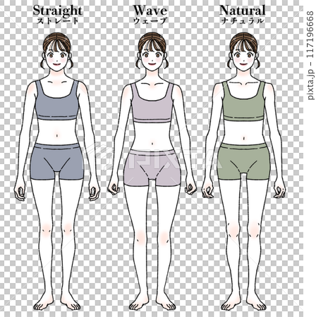 骨格診断 ストレート ウェーブ ナチュラル イメージイラスト 文字あり 骨格診断 ストレート ウェーブ ナチュラル イメージイラスト 文字あり 117196668