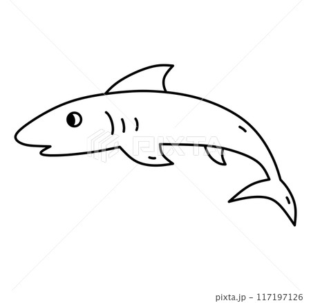 Fish isolated on white background 117197126