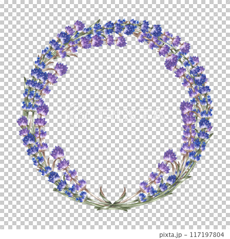 Lavender. A wreath of lavender. A round frame made of purple flowers. A hand-drawn watercolor illustration. Highlight it. An element of the design of packaging, postcards and labels. Lavender. A wreath of lavender. A round frame made of purple flowers. A hand-drawn watercolor illustration. Highlight it. An element of the design of packaging, postcards and labels. 117197804