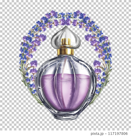 Lavender. Lavender perfume. Purple perfume bottle and lavender flowers. A hand-drawn watercolor illustration. Highlight it. An element of the design of packaging, postcards and labels. 117197806