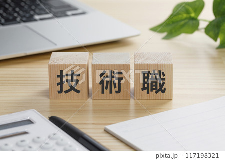 技術職と書かれた積み木のブロック 117198321
