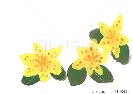 杜鵑草（ホトトギス）の花のカード1 117198499