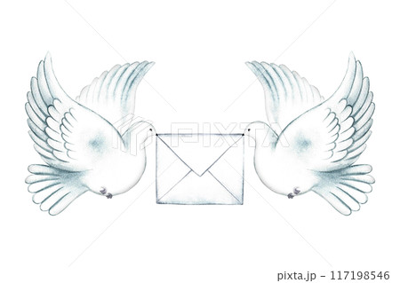 White carrier pigeons holding an envelope. A hand-drawn watercolor illustration. Isolate him. The symbol of mail, notifications, greetings and invitations. For banners and flyers, postcards, posters. 117198546