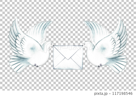 White carrier pigeons holding an envelope. A hand-drawn watercolor illustration. Isolate him. The symbol of mail, notifications, greetings and invitations. For banners and flyers, postcards, posters. White carrier pigeons holding an envelope. A hand-drawn watercolor illustration. Isolate him. The symbol of mail, notifications, greetings and invitations. For banners and flyers, postcards, posters. 117198546