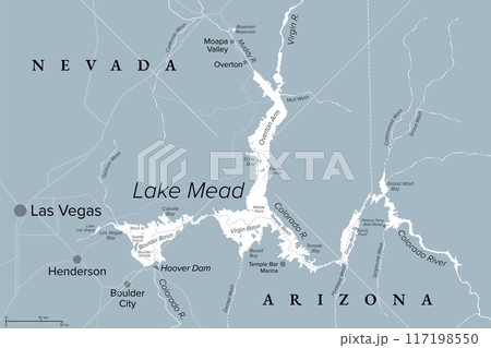 Lake Mead, largest reservoir in the United States, gray political map. Formed by the Hoover Dam on Colorado River in Southwestern USA, located in the states of Nevada and Arizona, east of Las Vegas. 117198550
