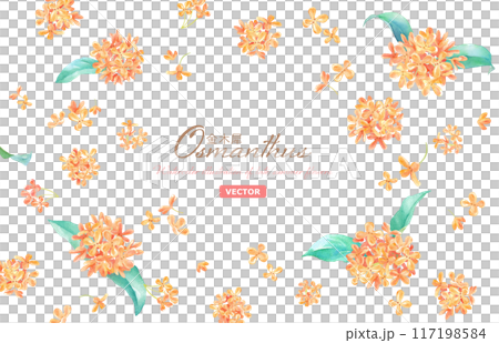 キンモクセイの花の水彩イラスト。装飾フレーム。香りのイメージ。（ベクター） 117198584