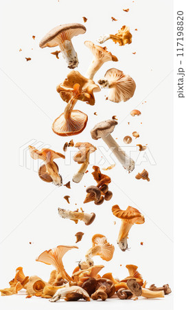 Various mushrooms floating in mid-air on white background Various mushrooms floating in mid-air on white background 117198820