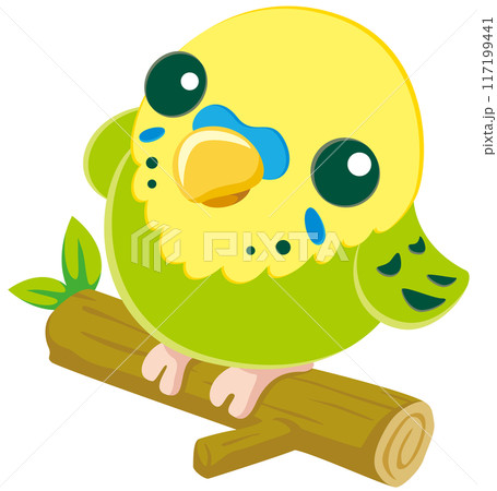 木の枝に乗って見上げる可愛いセキセイインコのベクターイラストアイコン/グリーン 木の枝に乗って見上げる可愛いセキセイインコのベクターイラストアイコン/グリーン 117199441