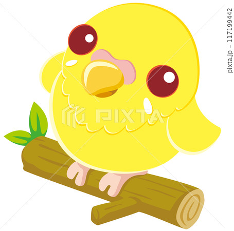 木の枝に乗って見上げる可愛いセキセイインコのベクターイラストアイコン／ルチノー 117199442
