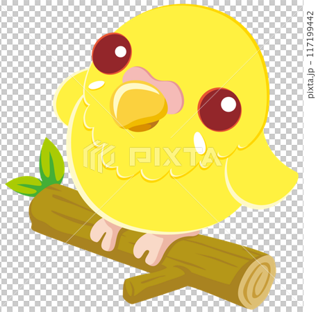木の枝に乗って見上げる可愛いセキセイインコのベクターイラストアイコン／ルチノー 117199442