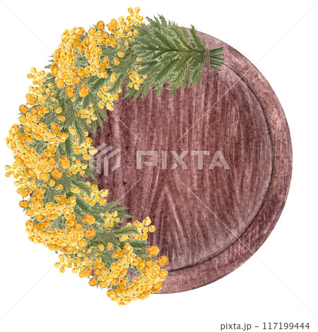 Blue tansy half wreath on a wooden tray isolated on white. Hand painted in watercolor. High quality art for cards, packages, essential oil production, oil infusions, labels, rustic decor and design 117199444
