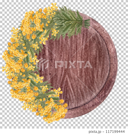 Blue tansy half wreath on a wooden tray isolated on white. Hand painted in watercolor. High quality art for cards, packages, essential oil production, oil infusions, labels, rustic decor and design 117199444